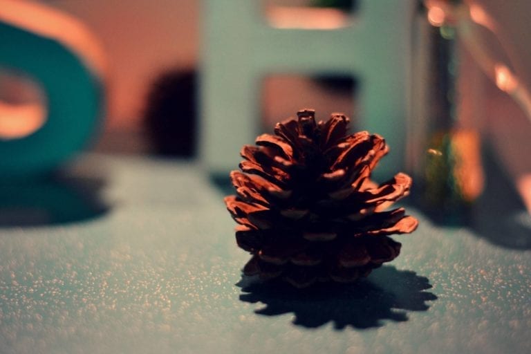A Christmas Wish #MySundayPhoto