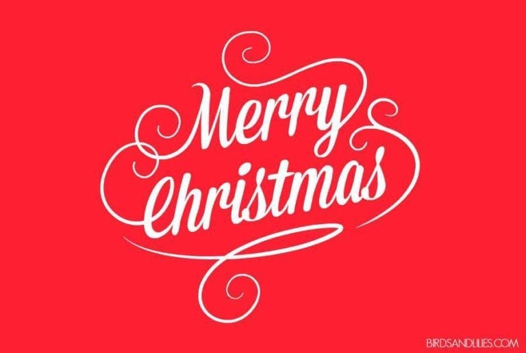 white merry christmas wording on red background