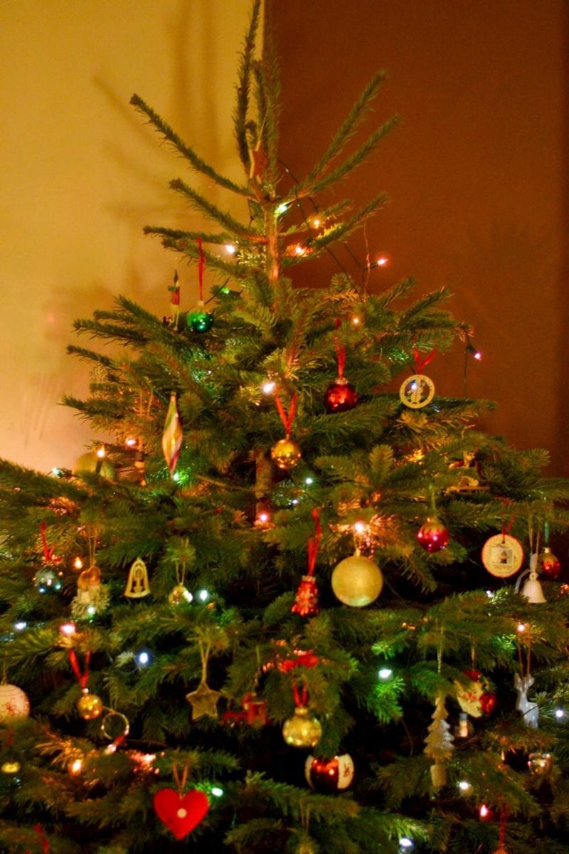 pines and needles home delivered christmas tree