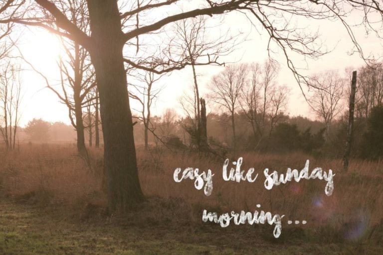 The Sunday Round-Up