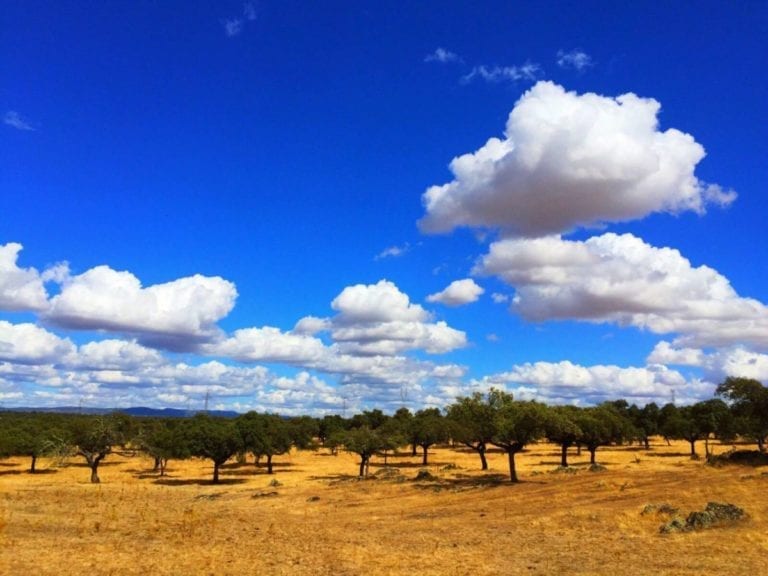 blue skies and sunshine in Spain