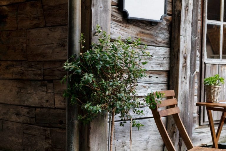 Choosing the Right Type of Garden Shed