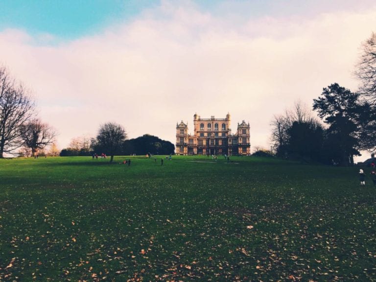 The School Days – A Lovely Half Term Week