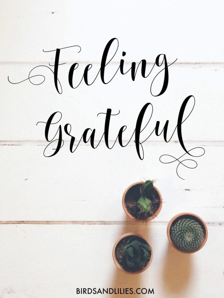 7 Things I’m Feeling Grateful For