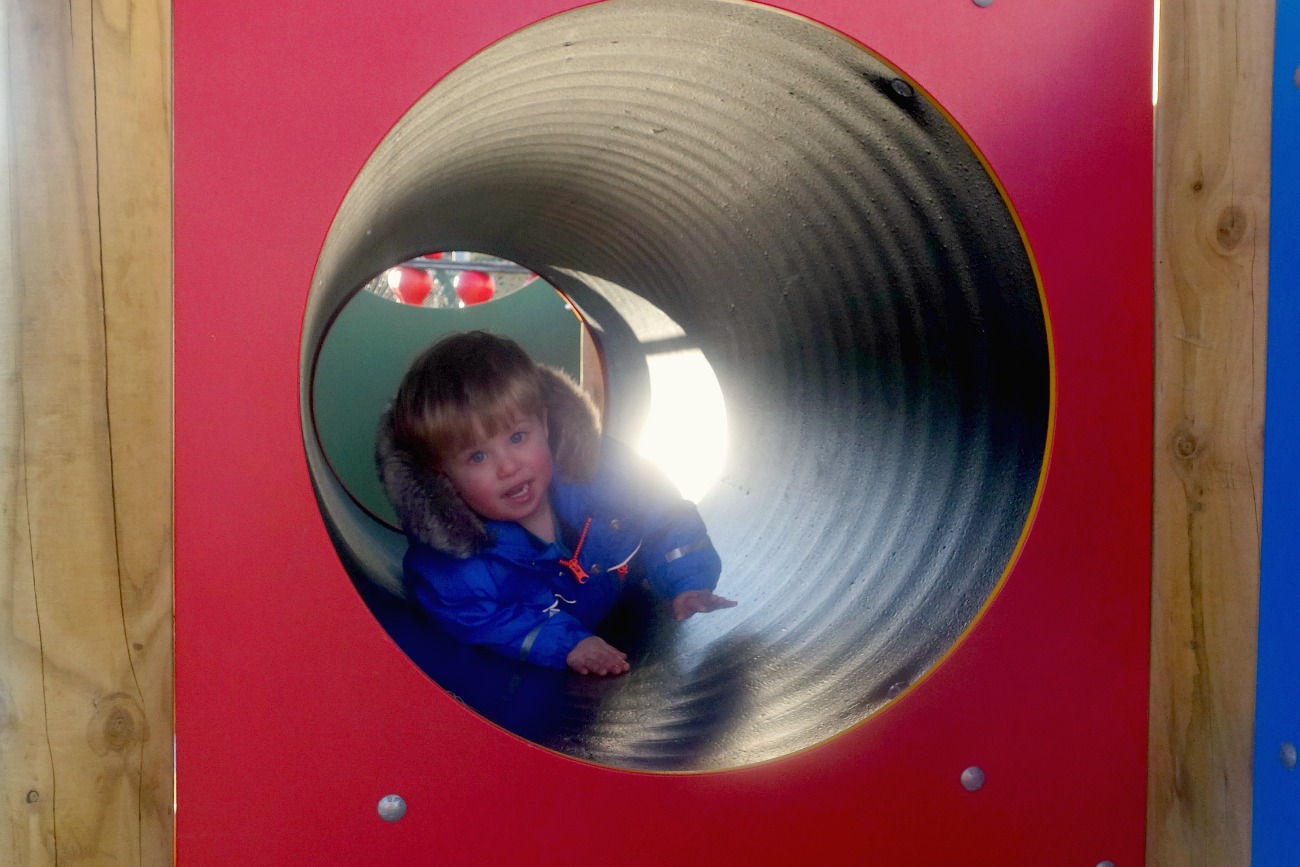 The Sealife Sanctuary, Scarborough is a brilliant family day out close to the centre of Scarborough - find out why we loved it in this review.