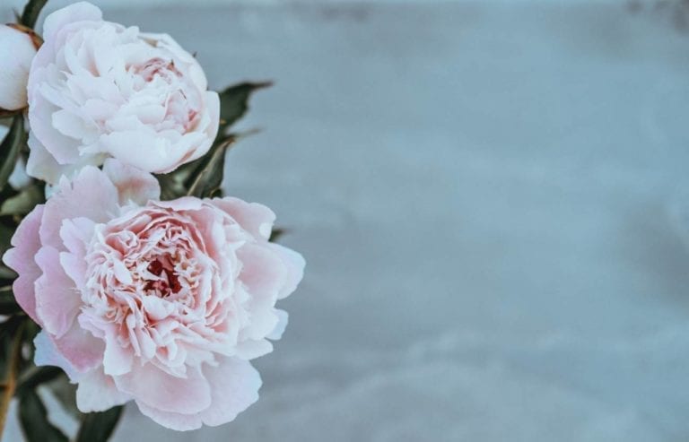 10 Things I’ve Learnt in My 33rd Year