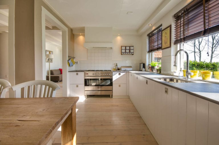 How to Cockroach-Proof Your Kitchen Before Spring