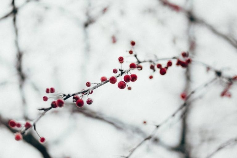 Win a £20 Amazon Voucher Just in Time for Christmas!
