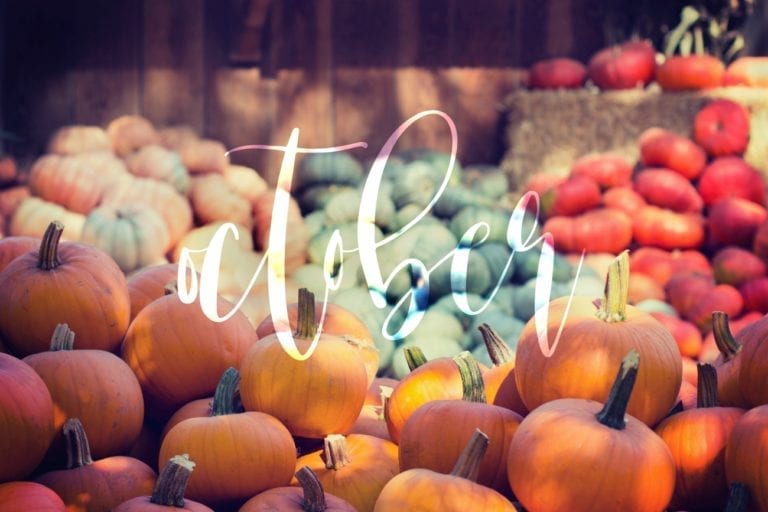 A Lovely October and a Big Comedown