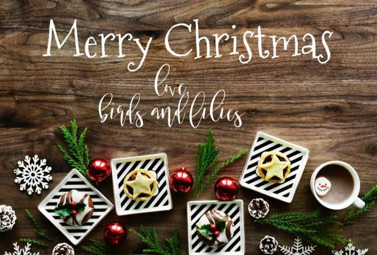 writing saying merry christmas from birds and lilies love you on wooden background