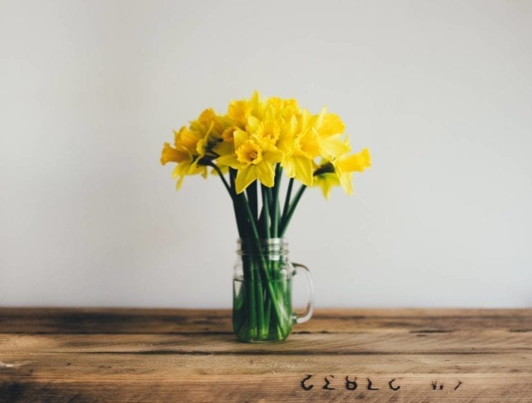 daffodils in clear glass jar on wooden table
