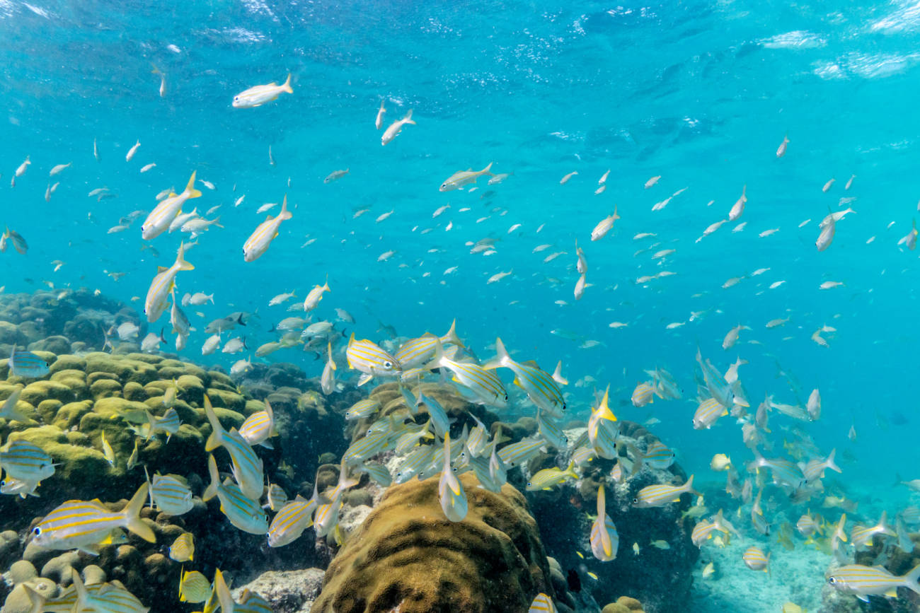 5 Reasons to Choose a Trip to Aruba for Your Health and Happiness
