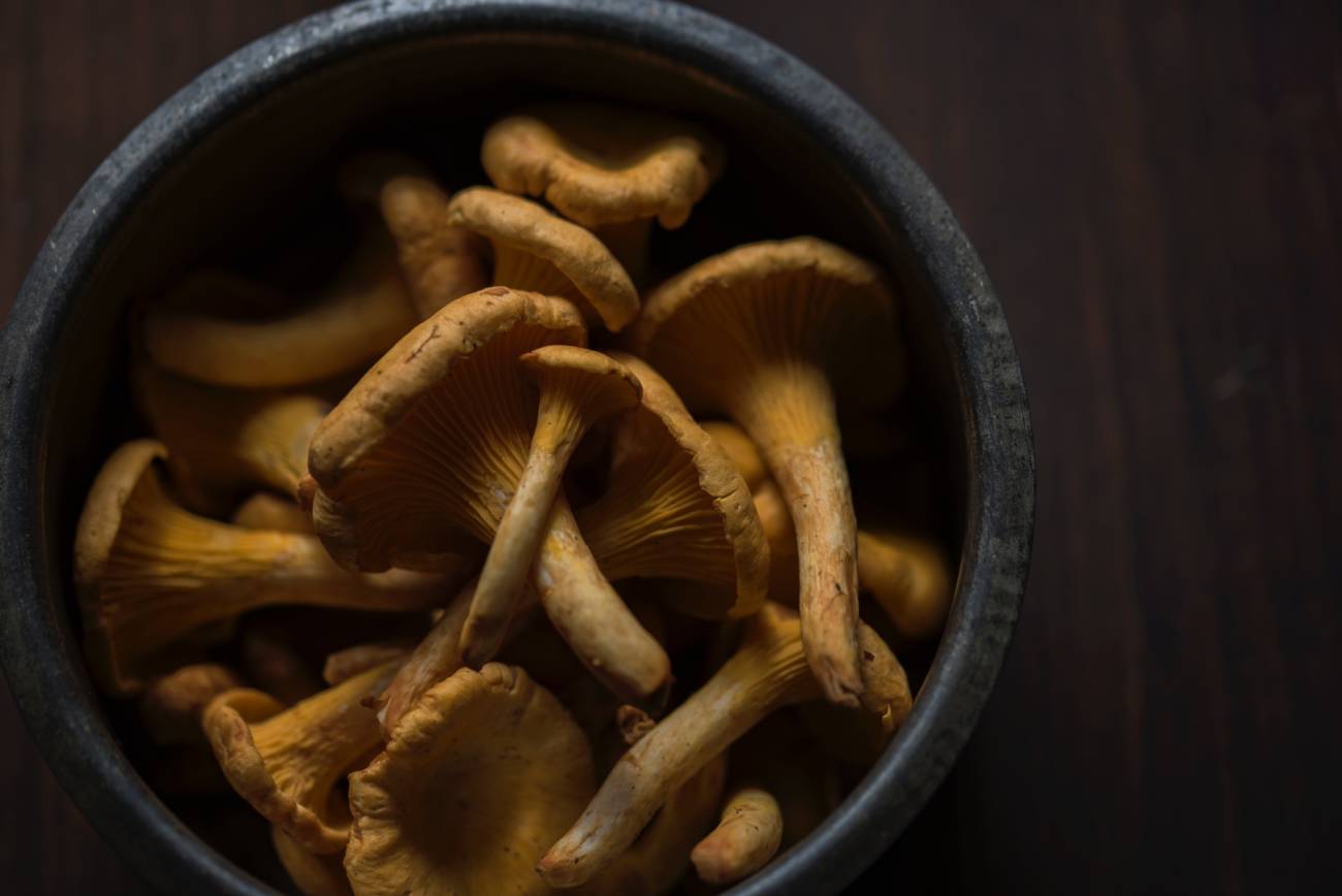 mushrooms in bowl