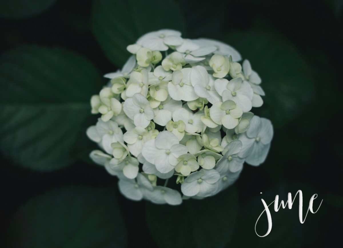 June’s Little Loves ~ Summer Dresses and Dancing