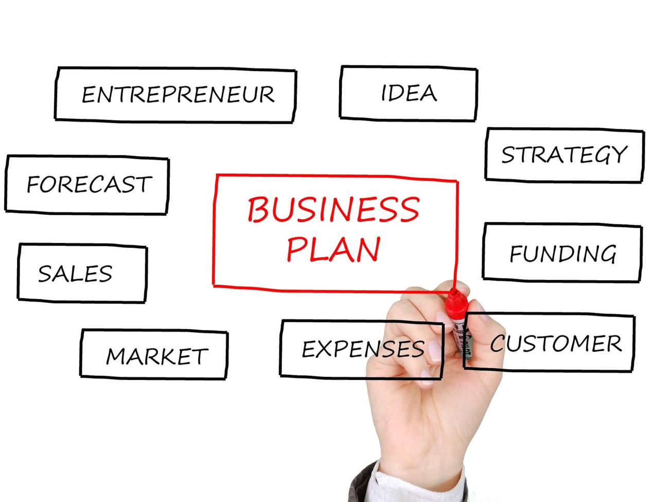 business plan with ideas bubble