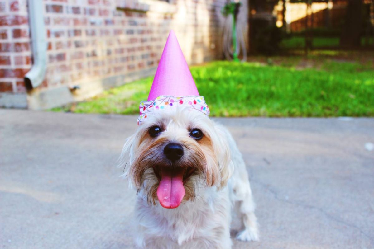 The Friday Five – Running, Failing and my 35th Birthday