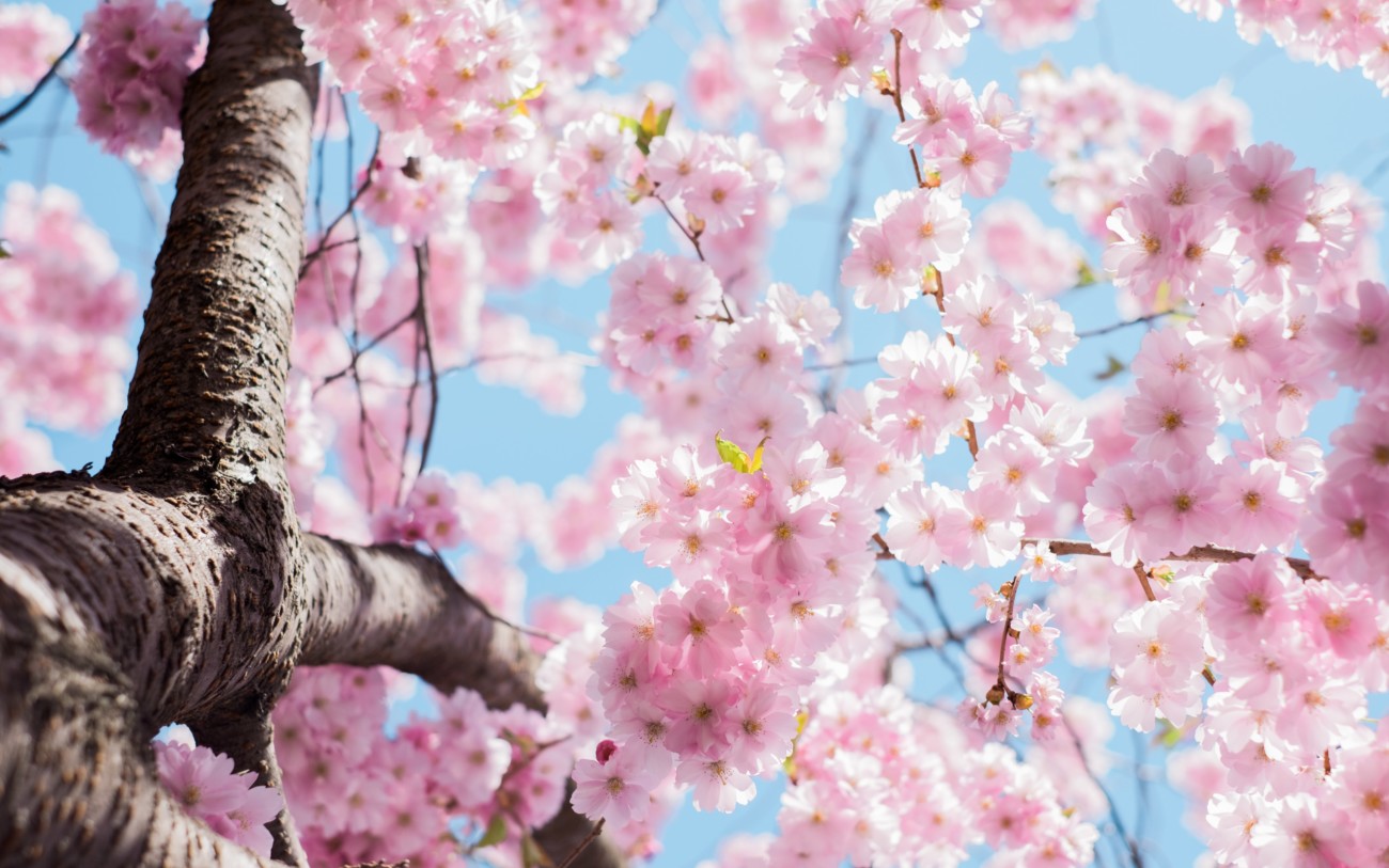 10 Positives of Self-Isolation and Social Distancing