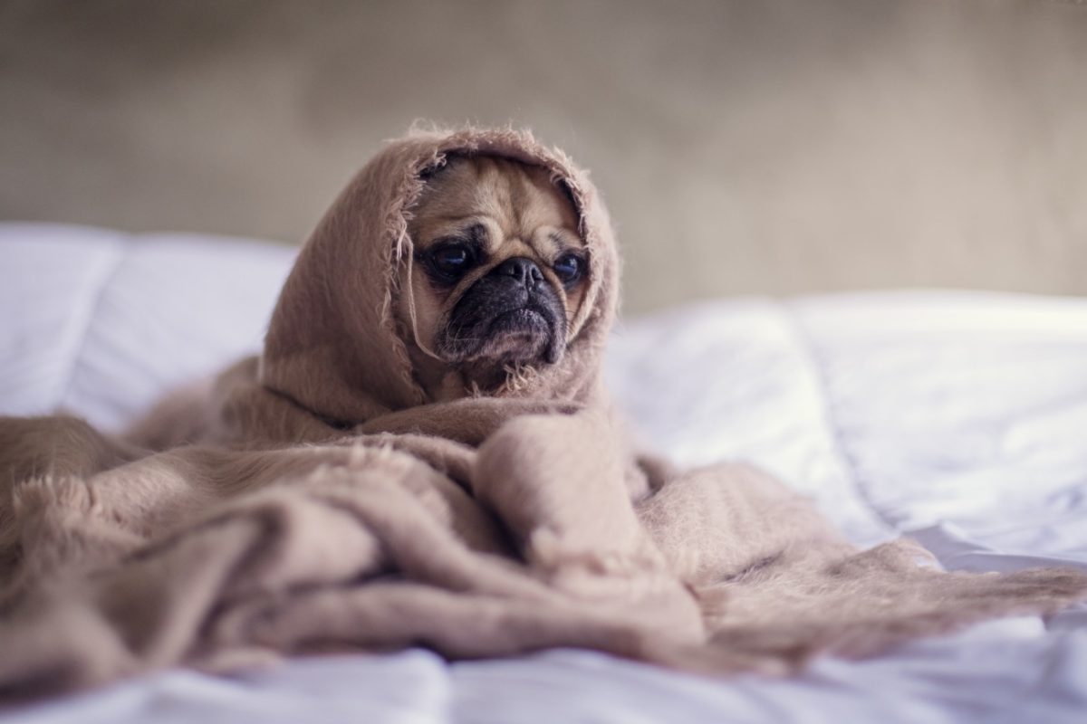 This Week: Coronavirus, Self-Isolation and the Weirdness of All This