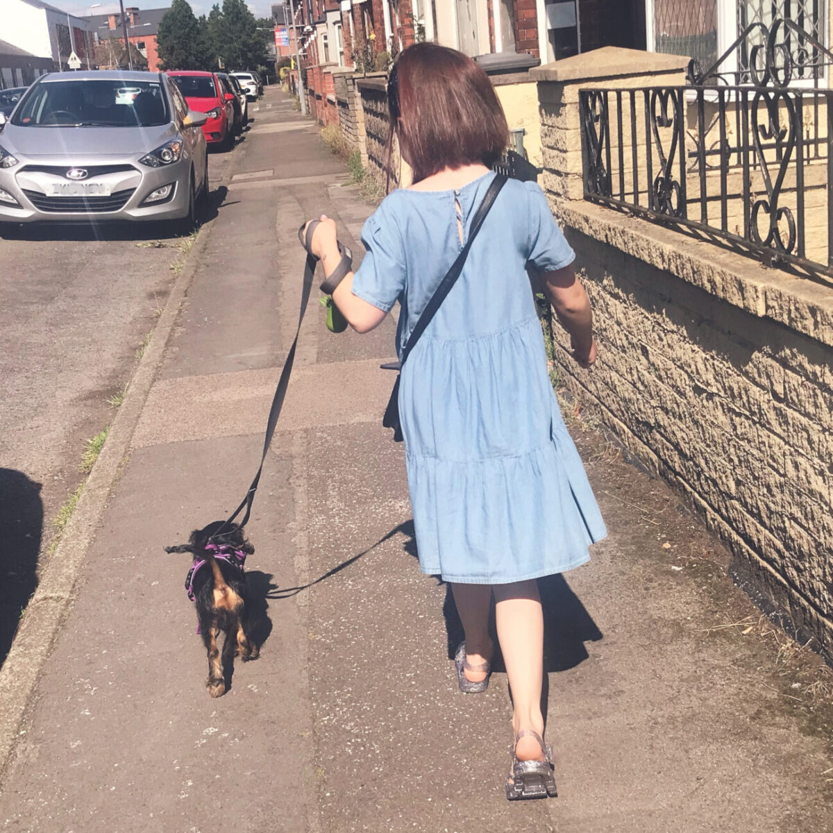 girl walking black and tan puppy on pavement
