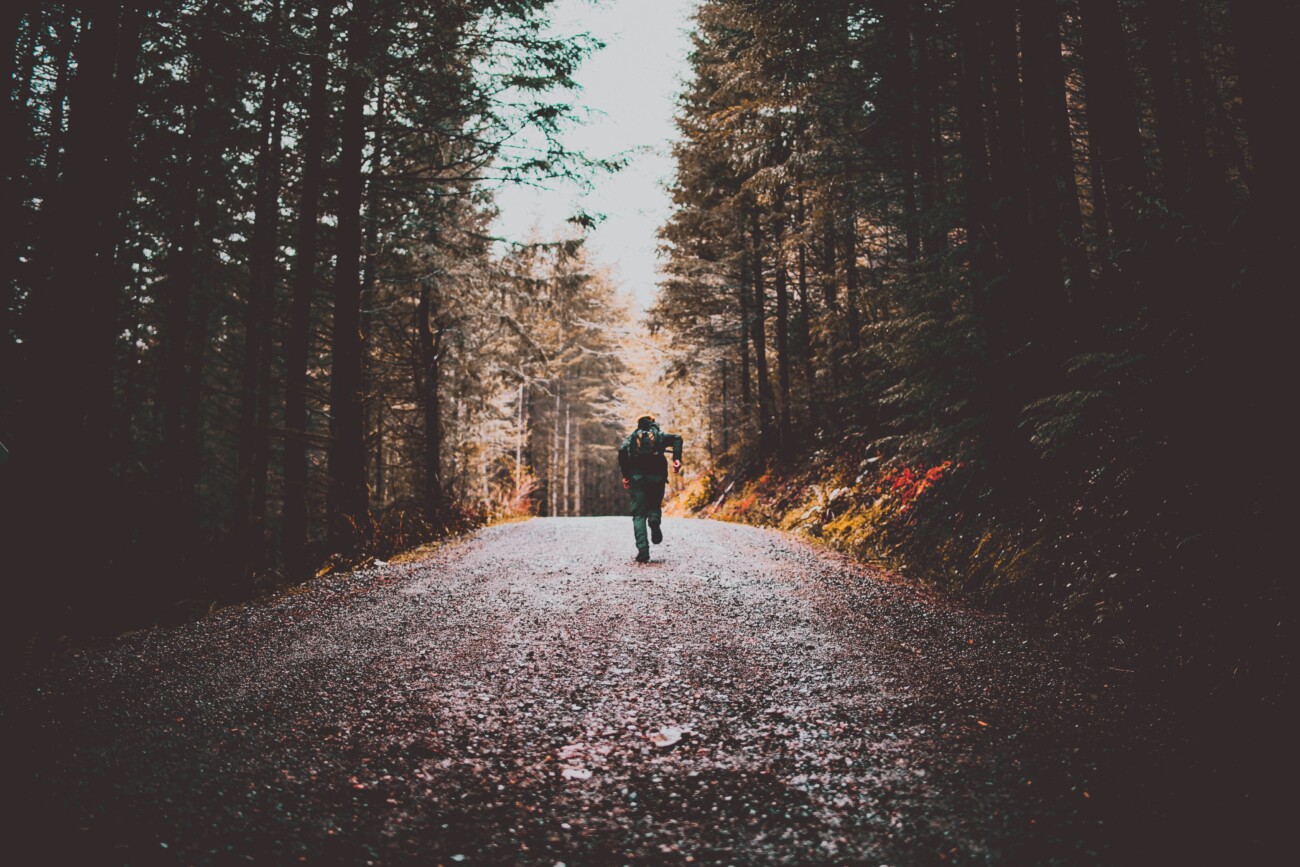 person walking throught the woods on a path with trees either side