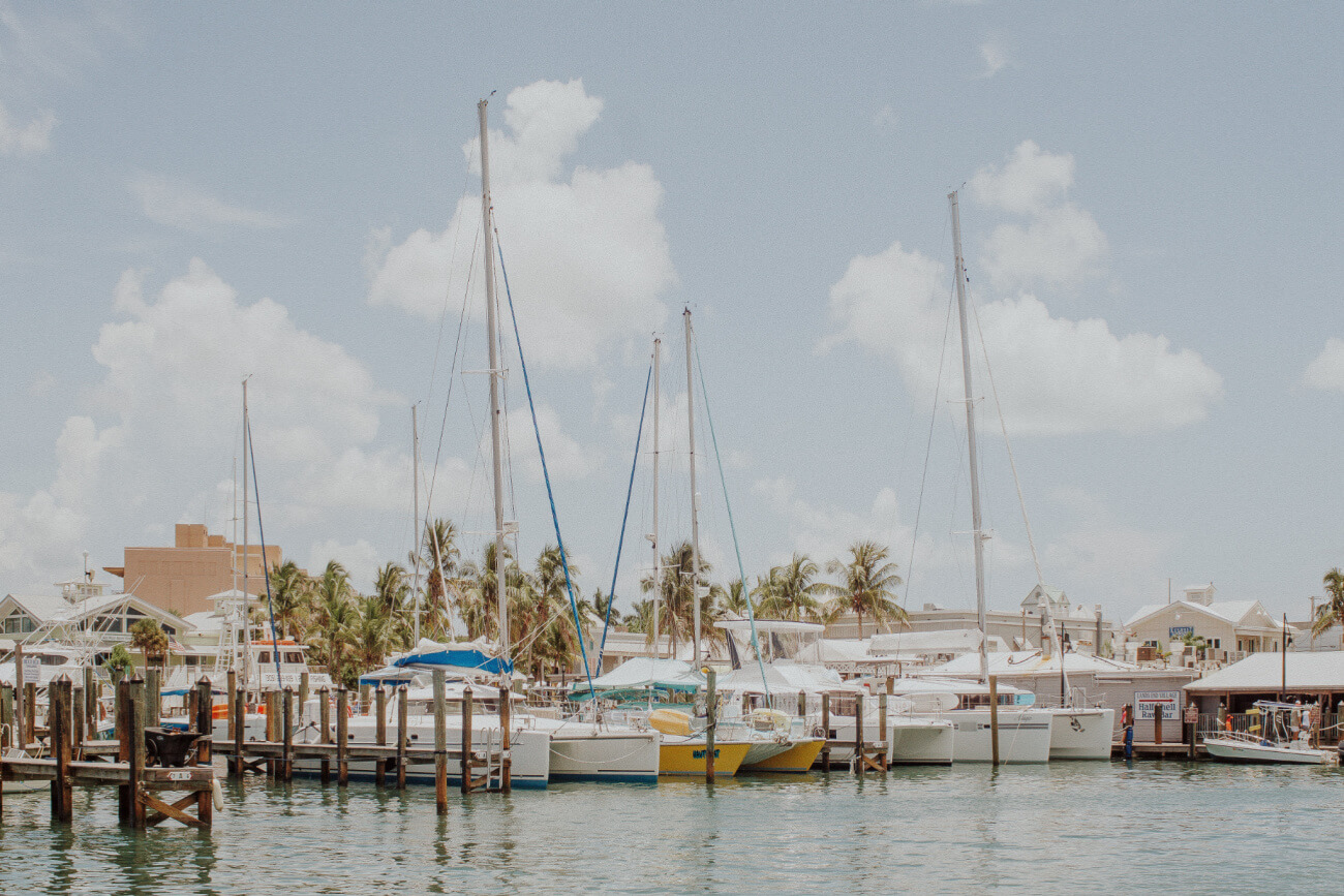boats in a harbour
