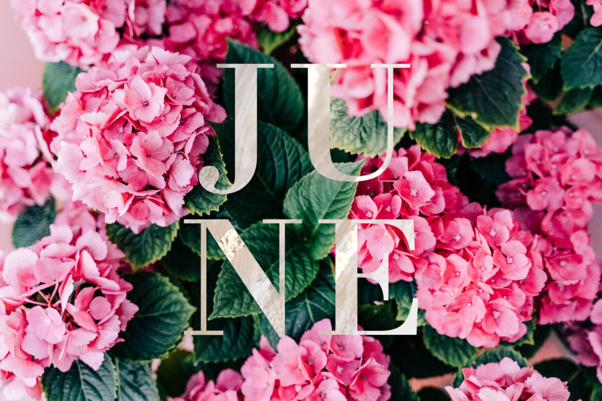 My Favourite Things in June