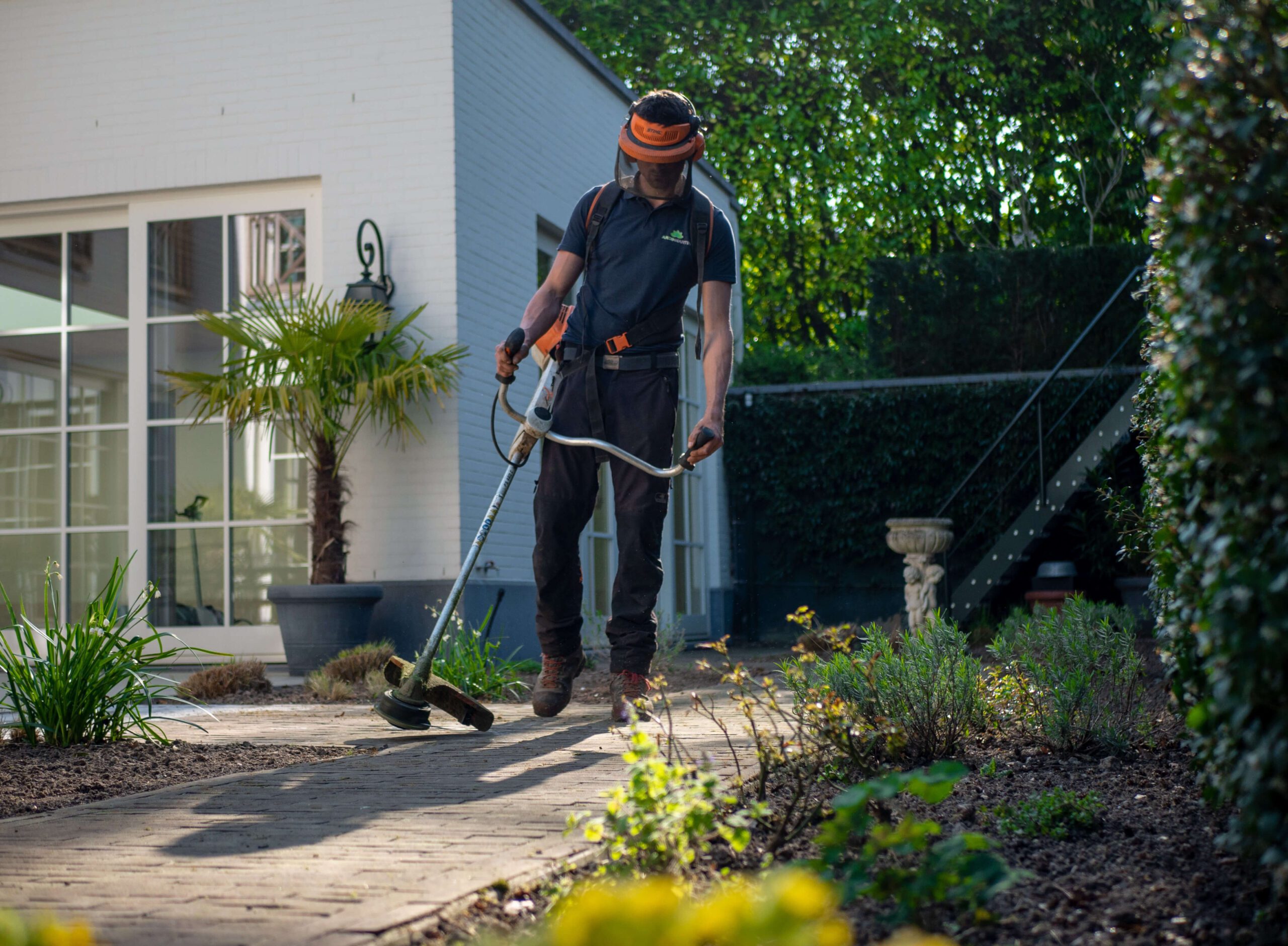 Finding the Tools to Renovate Your Garden