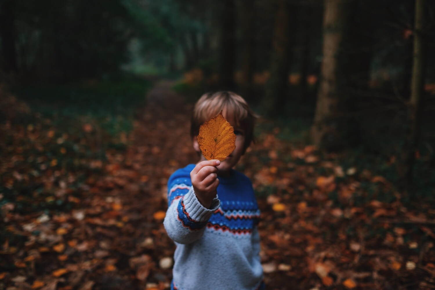 4 Steps to Help Children Wind Down After a Long Day at School