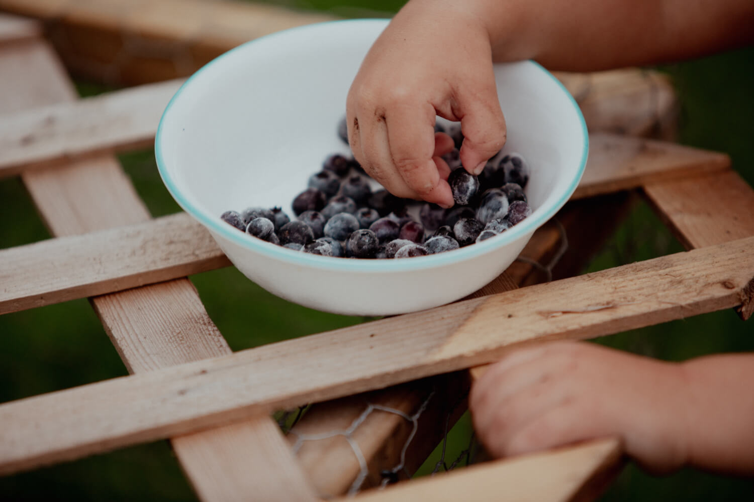 Tips for Teaching Your Children Healthy Eating Habits