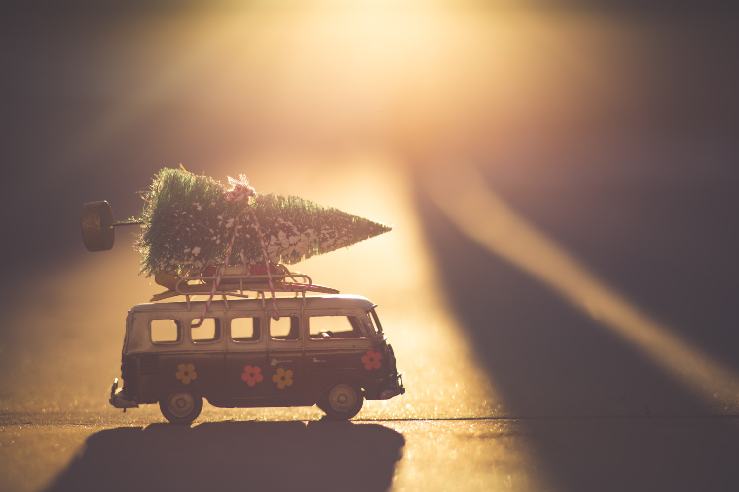 Why You Should Consider a Family Holiday This Christmas