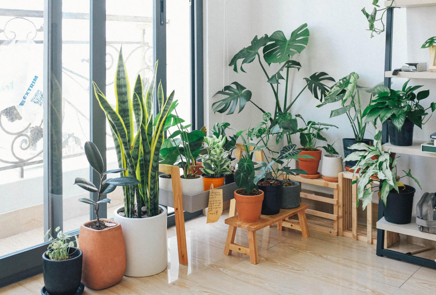 Combining Healthy Lifestyle Habits with Dietary Supplement Intake and a Green Home Environment to Improve Wellness