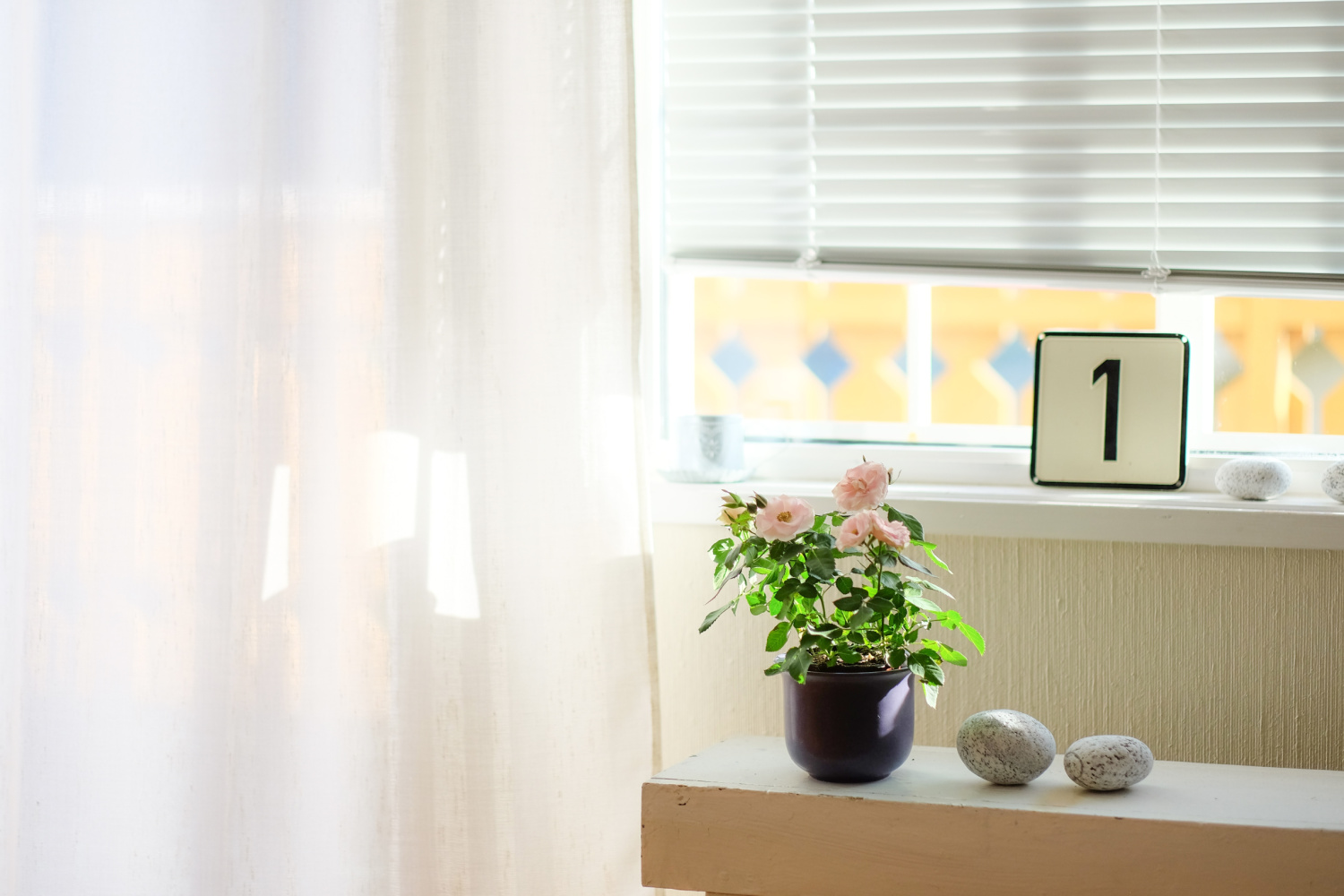 UPVC Windows and Doors: Everything You Need to Know
