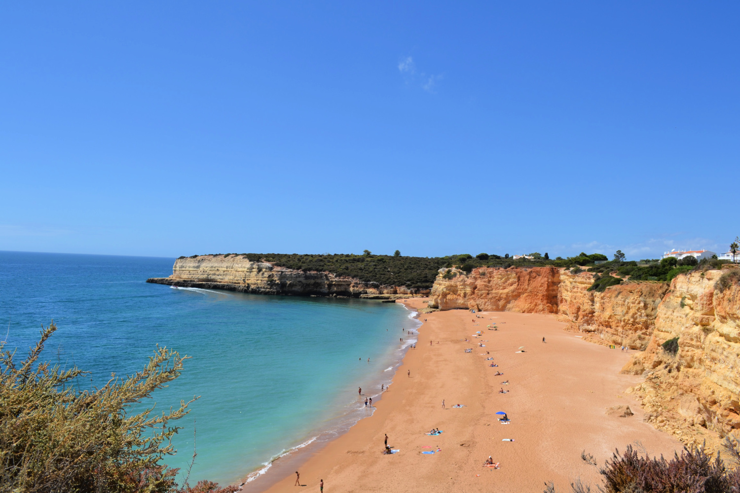 beach and sea with cliffs