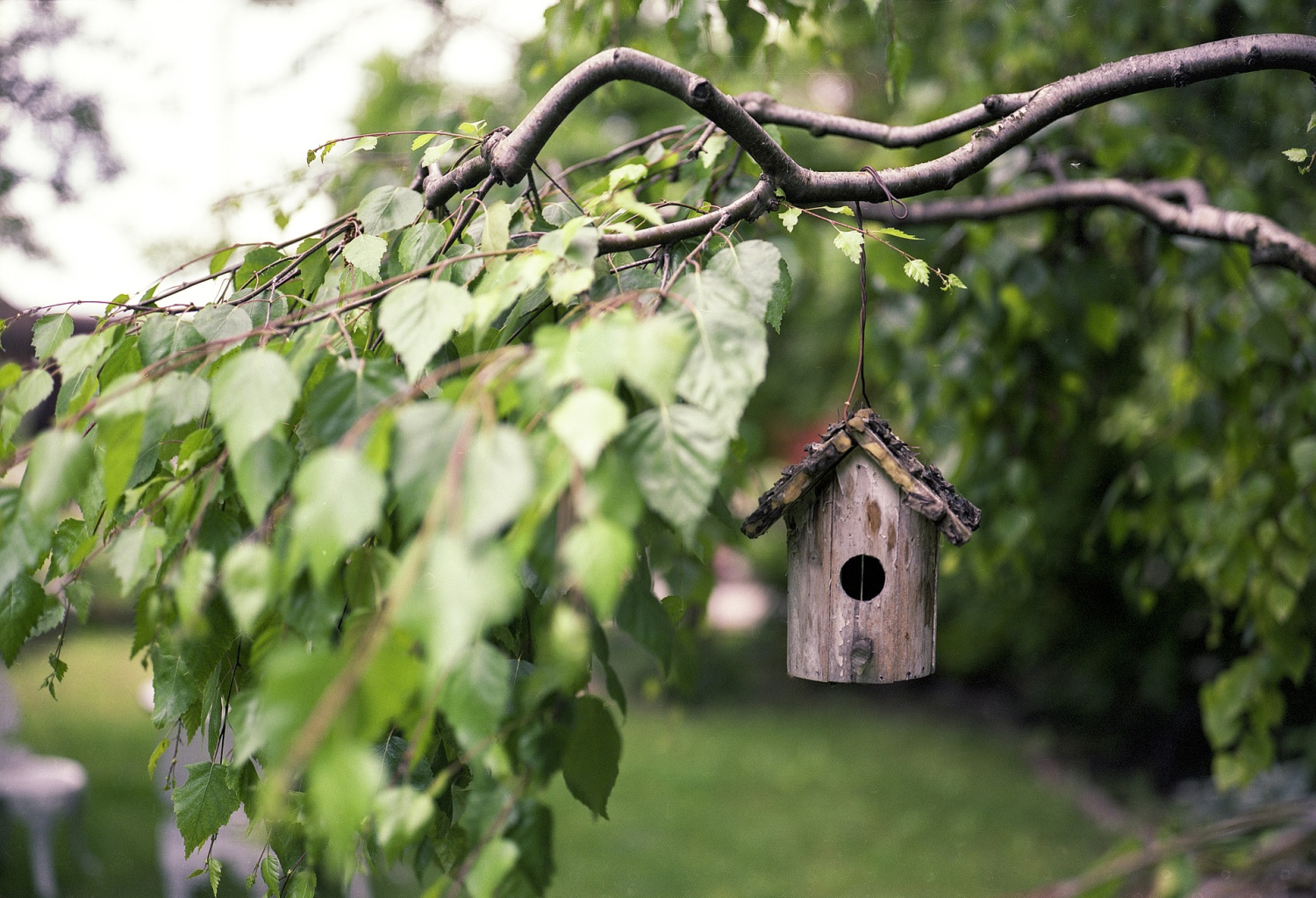 How to Make the Most of a Large Garden