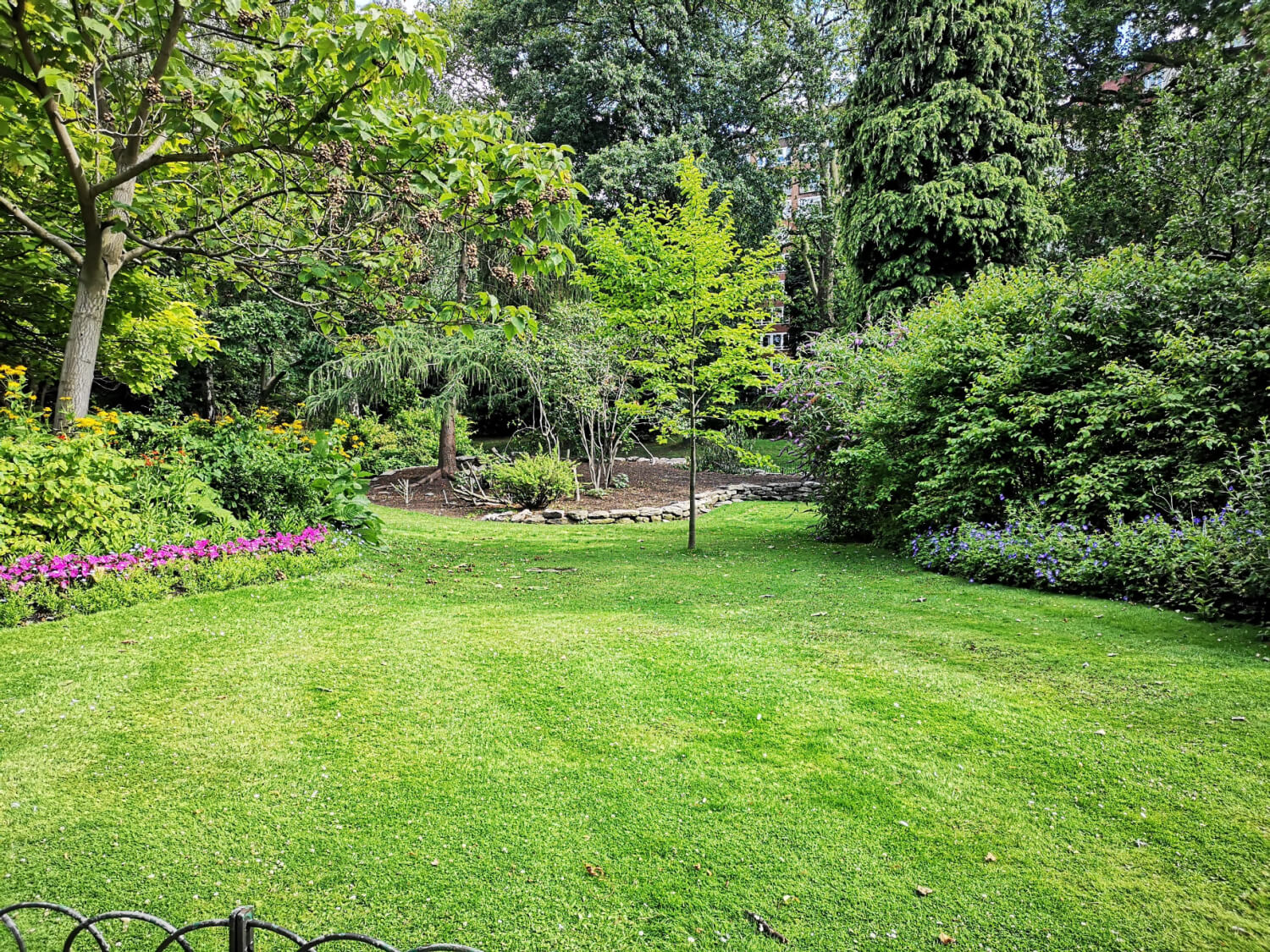large green garden with lawn and plants