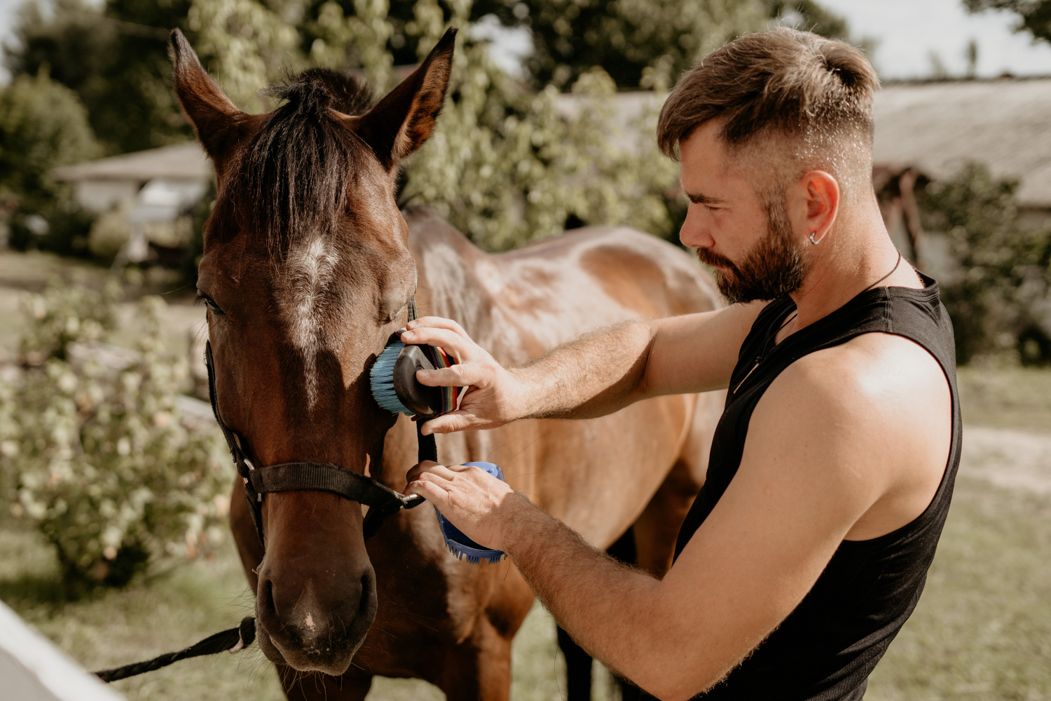 Questions to Ask Yourself when Buying your First Horse
