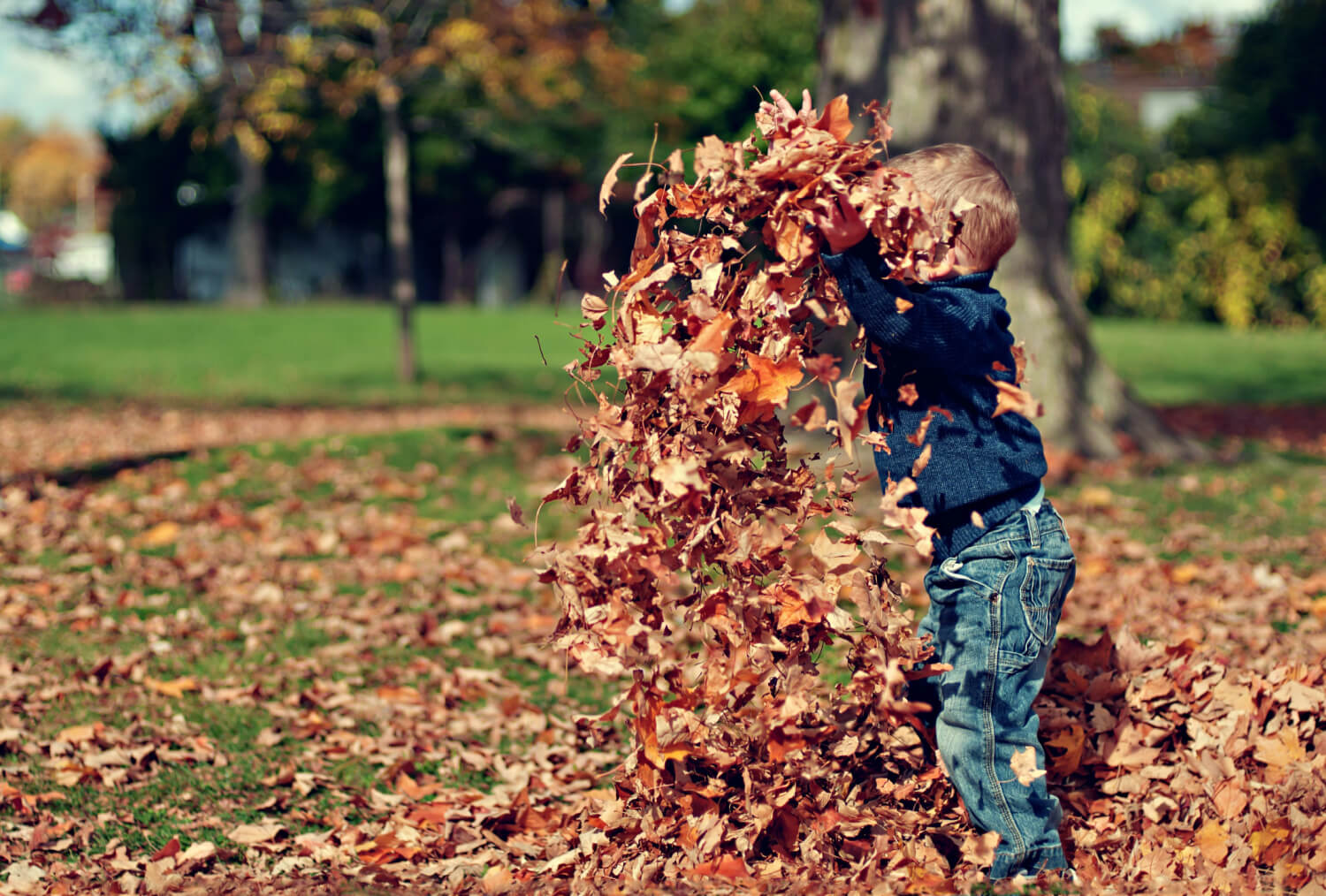 How to Instil a Growth Mindset in Your Child