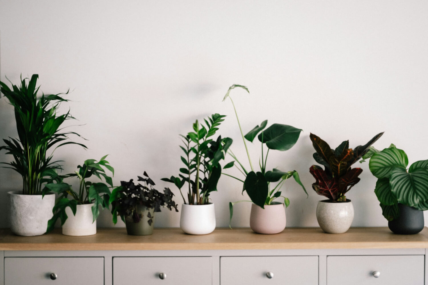 How to Create a Biophilic Living Space