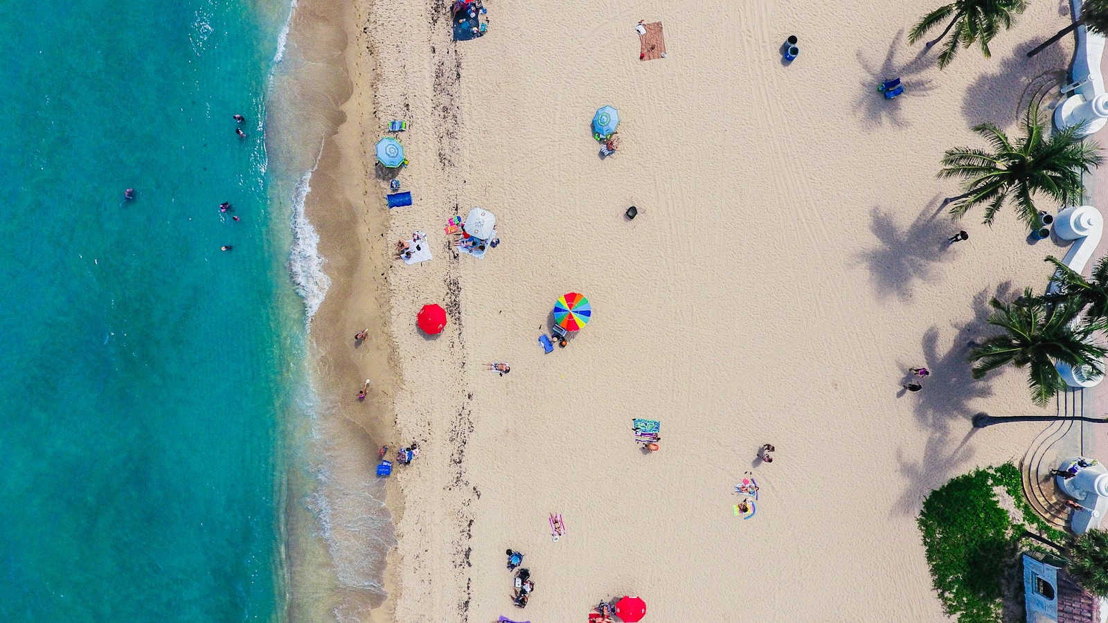 aerial photography of people on beach