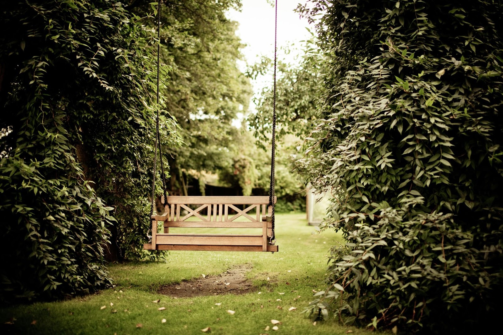 wooden garden swing hanging in a green garden
