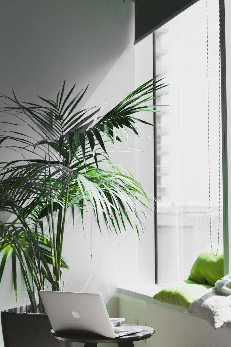 office with big green potted plant with a MacBook Pro on desk