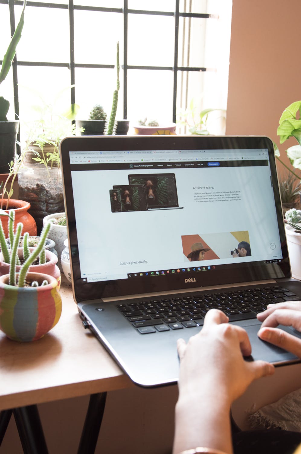 hands on a laptop on a desk near a window, with cacti in pots
