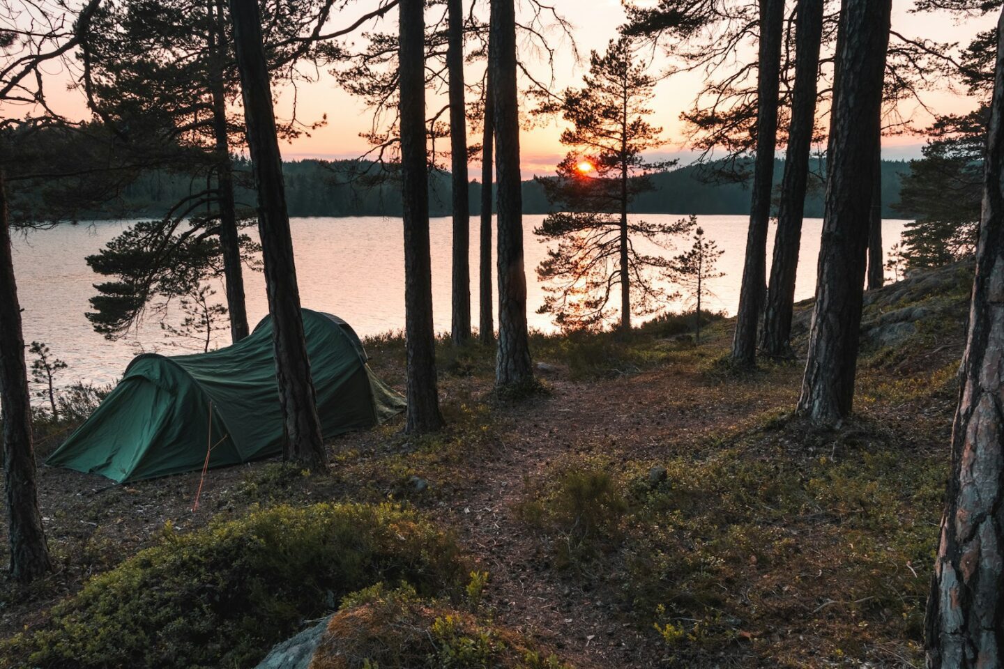 green tent by lake amongst trees
