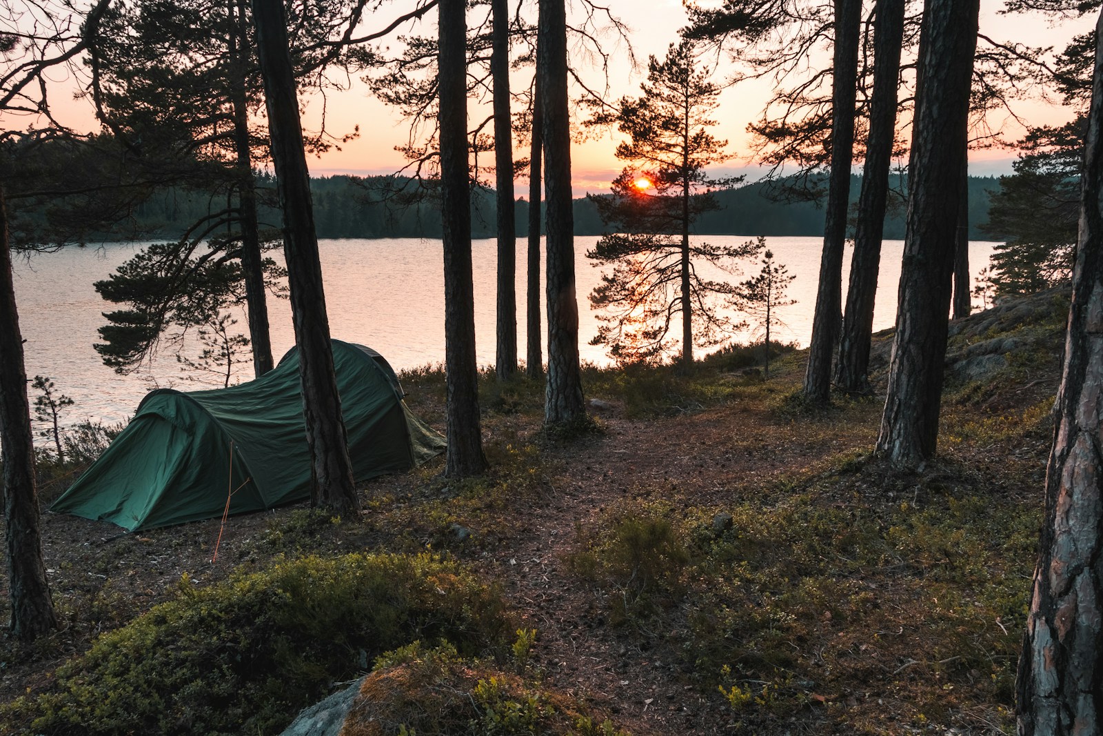 green tent by lake amongst trees