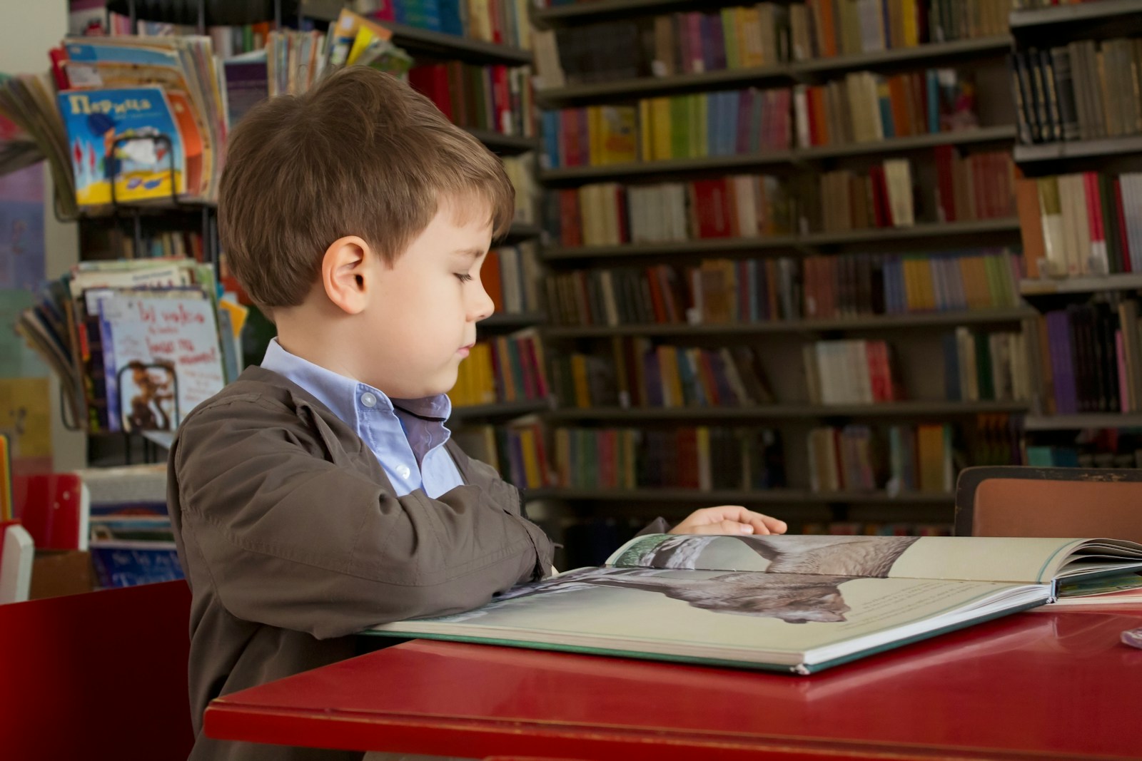 boy sitting st red table reading book in school library