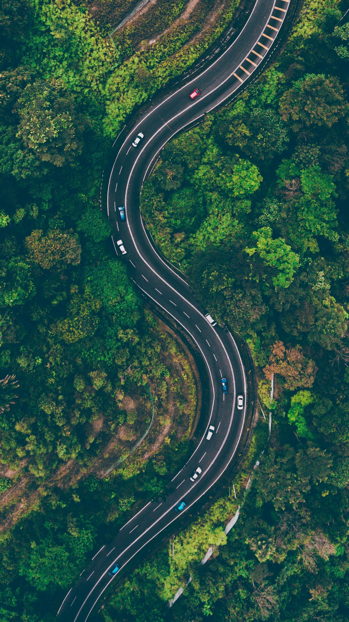 long, winding road through woodland