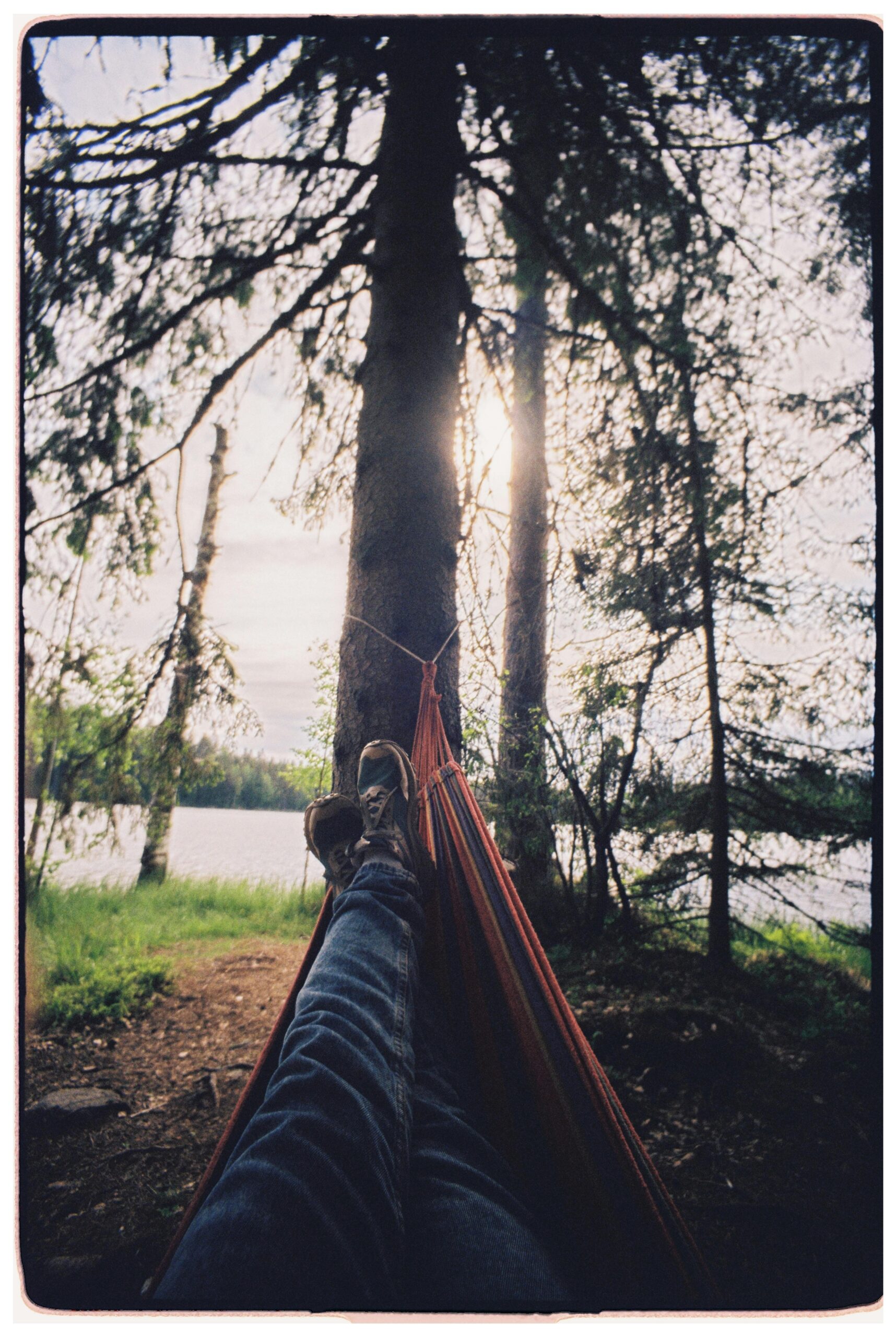 person's legs lying on a hammock amongst trees