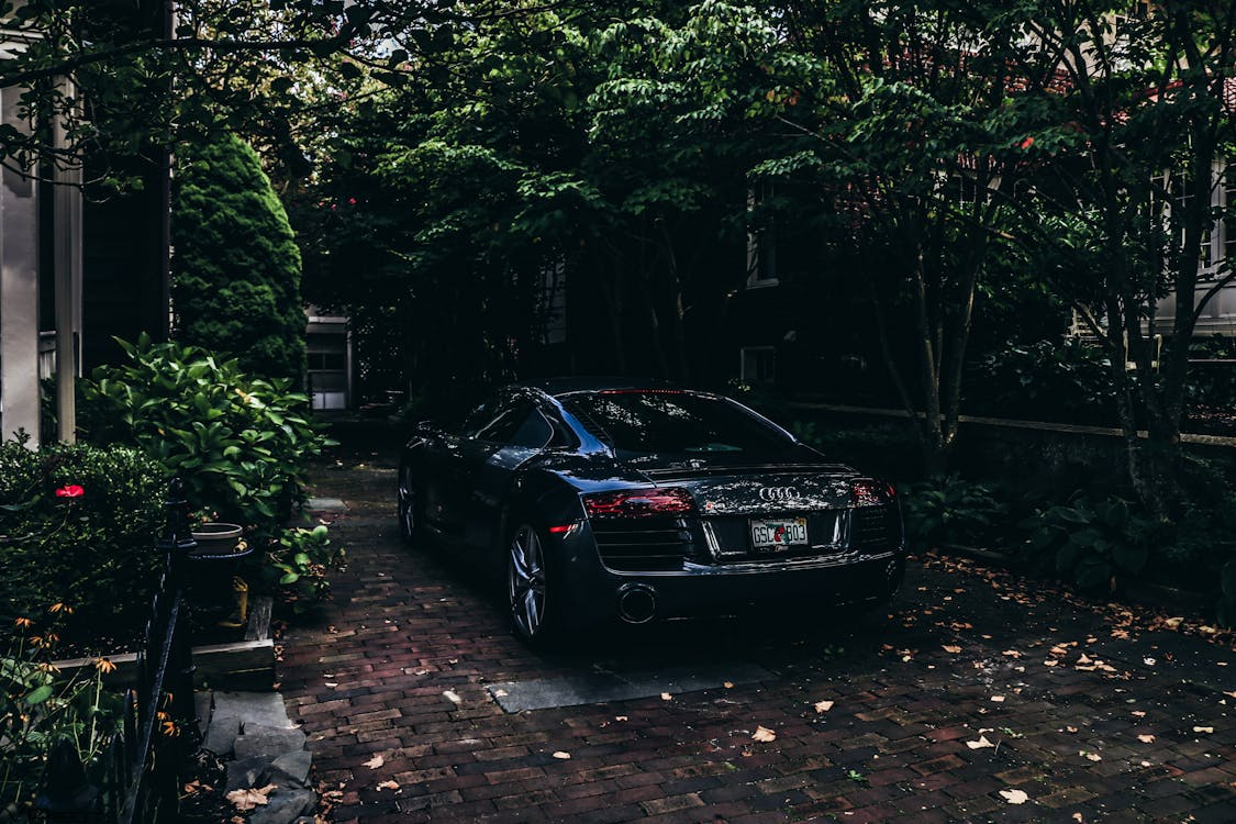 black Audi car under dark trees
