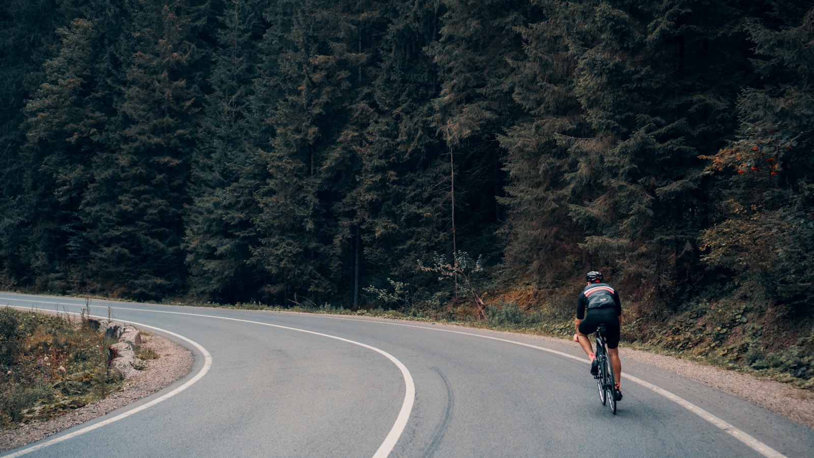 person on bike cycling along road next to trees