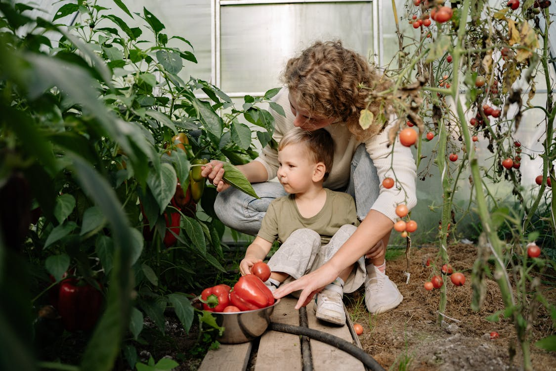woman and young child picking veg off plants